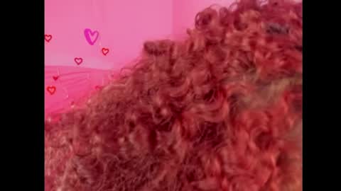 Lady  online show from 02.15.25