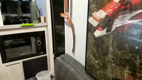 Snapshot of brushsquach chatting on 02.21.25 Steve... aka SkinnieDippin aka TimberTramp online show from 02.21.25