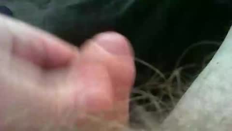 bullemoe online show from 11.02.25