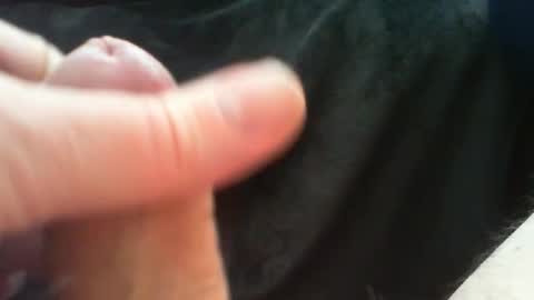 bullemoe online show from 03.24.26