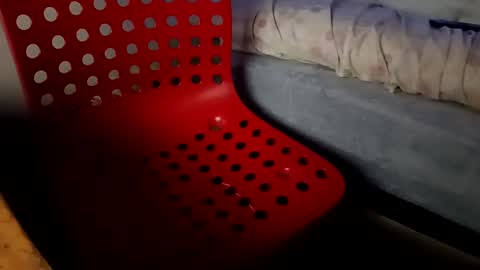 bullspain27266272 online show from 01.26.25