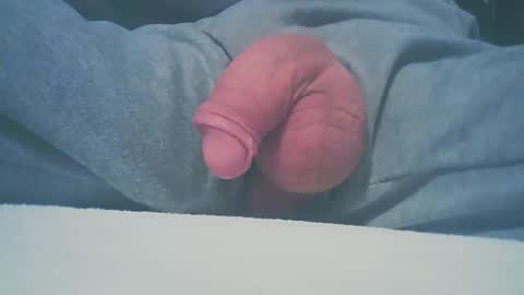 Dutch cock online show from 01.11.25