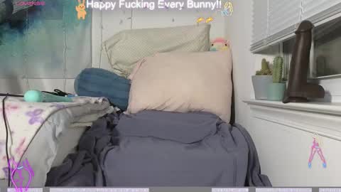 Snapshot of bunnycheekz chatting on 12.04.24 Tokki  bunny  online show from 12.04.24