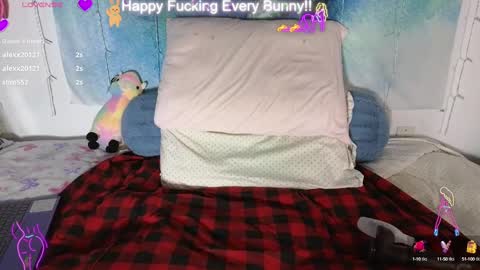 Snapshot of bunnycheekz chatting on 01.28.25 Tokki  bunny  online show from 01.28.25