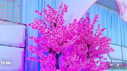 Bunny online show from 03.04.26