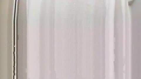 Burnout1315 online show from 12.28.24