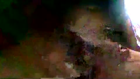 Snapshot of burro3000 chatting on 12.13.24 burro3000 online show from 12.13.24