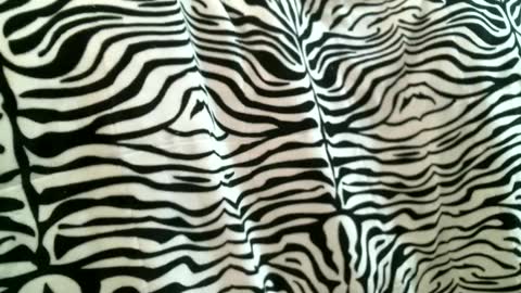 bustinfree online show from 09.09.25