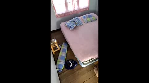 butzi online show from 01.17.26