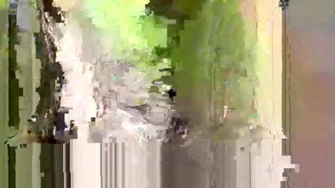 bxbomber2012 online show from 04.24.26