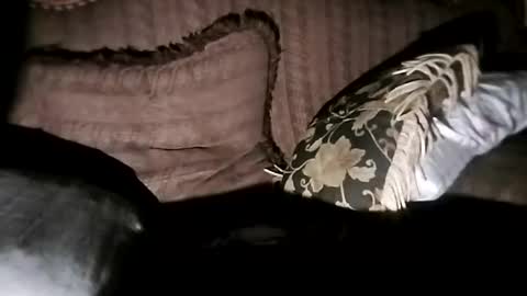 bxpapi69 online show from 11.07.25