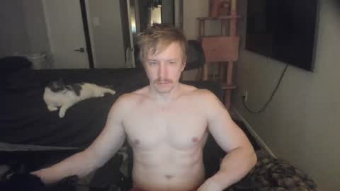 Snapshot of c00ki3m0nstr chatting on 07.05.26 c00ki3m0nstr online show from 07.05.26
