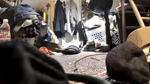 c547409 online show from 10.21.25