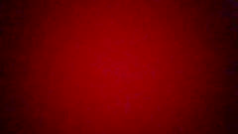 caco4639 online show from 04.02.26