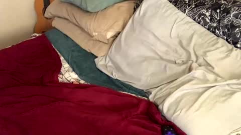 Snapshot of cadillacpmc chatting on 01.11.25 Cadillac P online show from 01.11.25