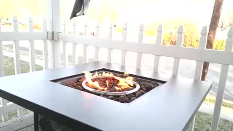 Chillaxin lets talk  online show from 12.25.24