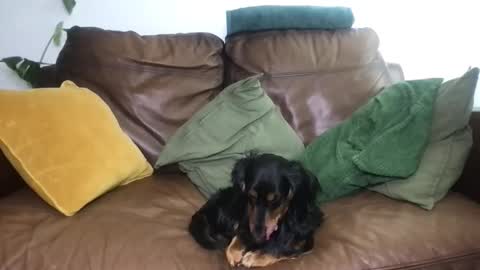 CamDoAttitude online show from 04.18.26