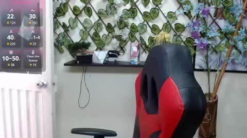 Snapshot of cameliasaenz chatting on 12.31.24 camelia online show from 12.31.24