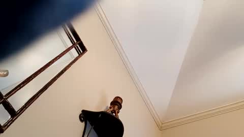 camerontaylorcub online show from 12.03.24