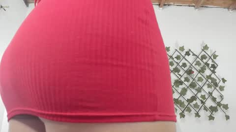 Snapshot of camihotboobs chatting on 01.29.25 camihotboobs online show from 01.29.25