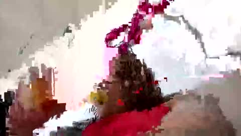 kira online show from 01.11.26