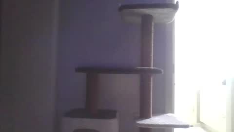 cammyman6900 online show from 11.09.25