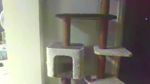 cammyman6900 online show from 11.20.25