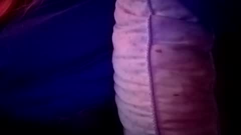 Snapshot of candismiths chatting on 11.16.25 Candi online show from 11.16.25