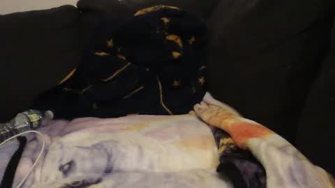     online show from 09.14.25