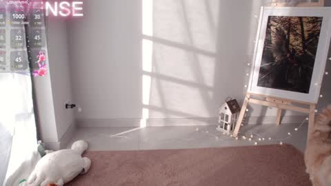 NONA    follow online show from 12.31.24