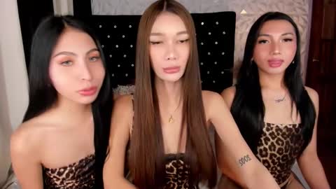 Carlotta online show from 10.04.25