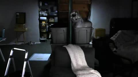 Carl online show from 02.04.25