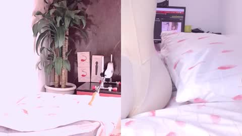 Carol online show from 03.18.26