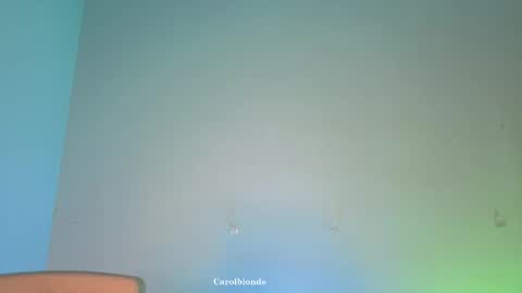 Snapshot of carolblonde chatting on 05.03.26 Char online show from 05.03.26