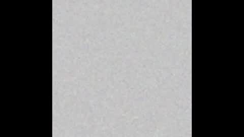 carolina online show from 12.14.24