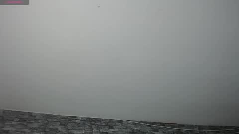 Camelia online show from 11.17.25