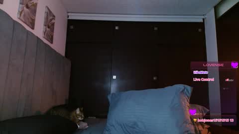Snapshot of carolynamuzgui chatting on 02.27.25 Carolinne online show from 02.27.25