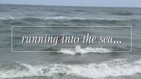 Snapshot of carriemadsin chatting on 12.02.25 carrie madsin online show from 12.02.25