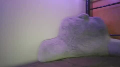 Casey Joe online show from 02.05.26