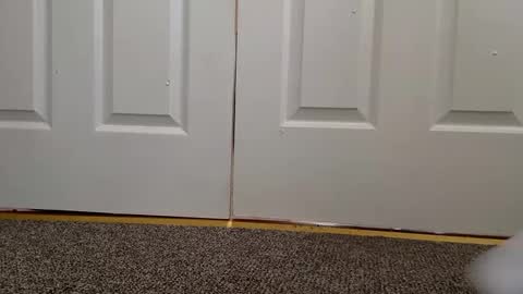 cash13bychanel online show from 12.11.24