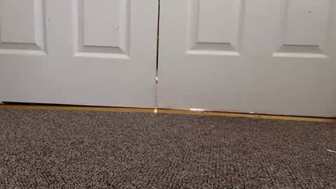 cash13bychanel online show from 01.22.25