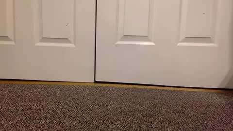 cash13bychanel online show from 01.23.25