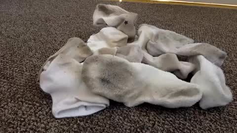 cash13bychanel online show from 02.04.25