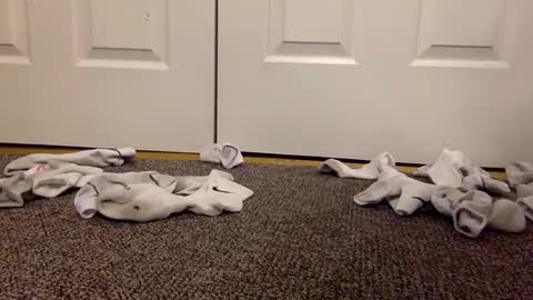 cash13bychanel online show from 02.13.25