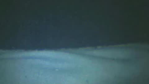 castells online show from 02.20.25