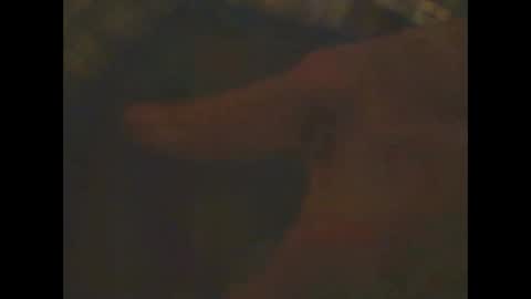 castells online show from 02.23.25