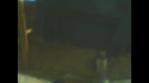 castells online show from 10.20.25