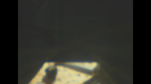 castells online show from 01.08.26