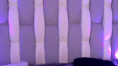 Cat  online show from 12.04.24