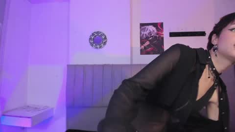 Cat  online show from 01.11.25